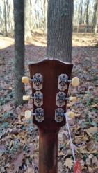 [1951 Gibson Southern Jumbo Headstock Rear]