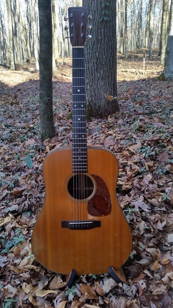 [1957 Martin D-21 Full Front]