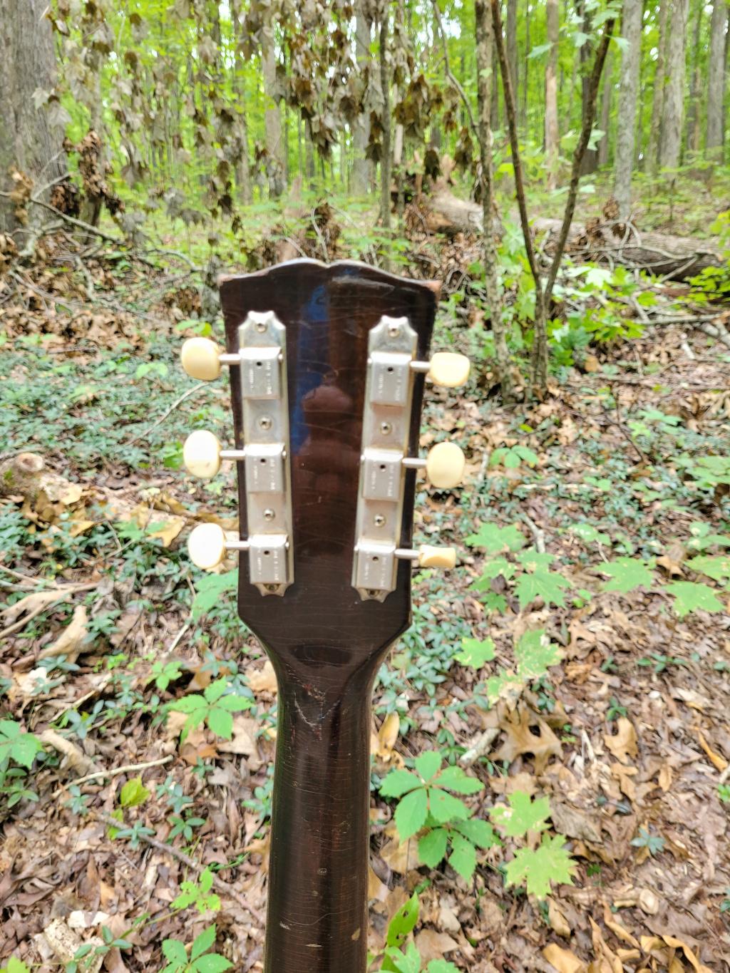 [1968 Gibson B-25 Headstock Rear]