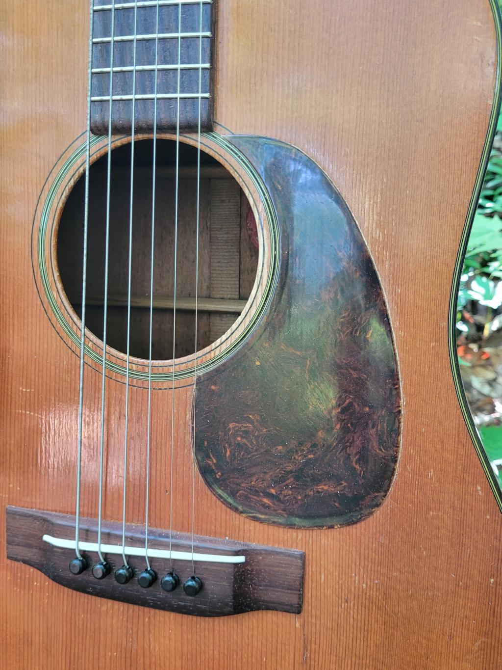 [1948 Martin D-18 Pickguard]