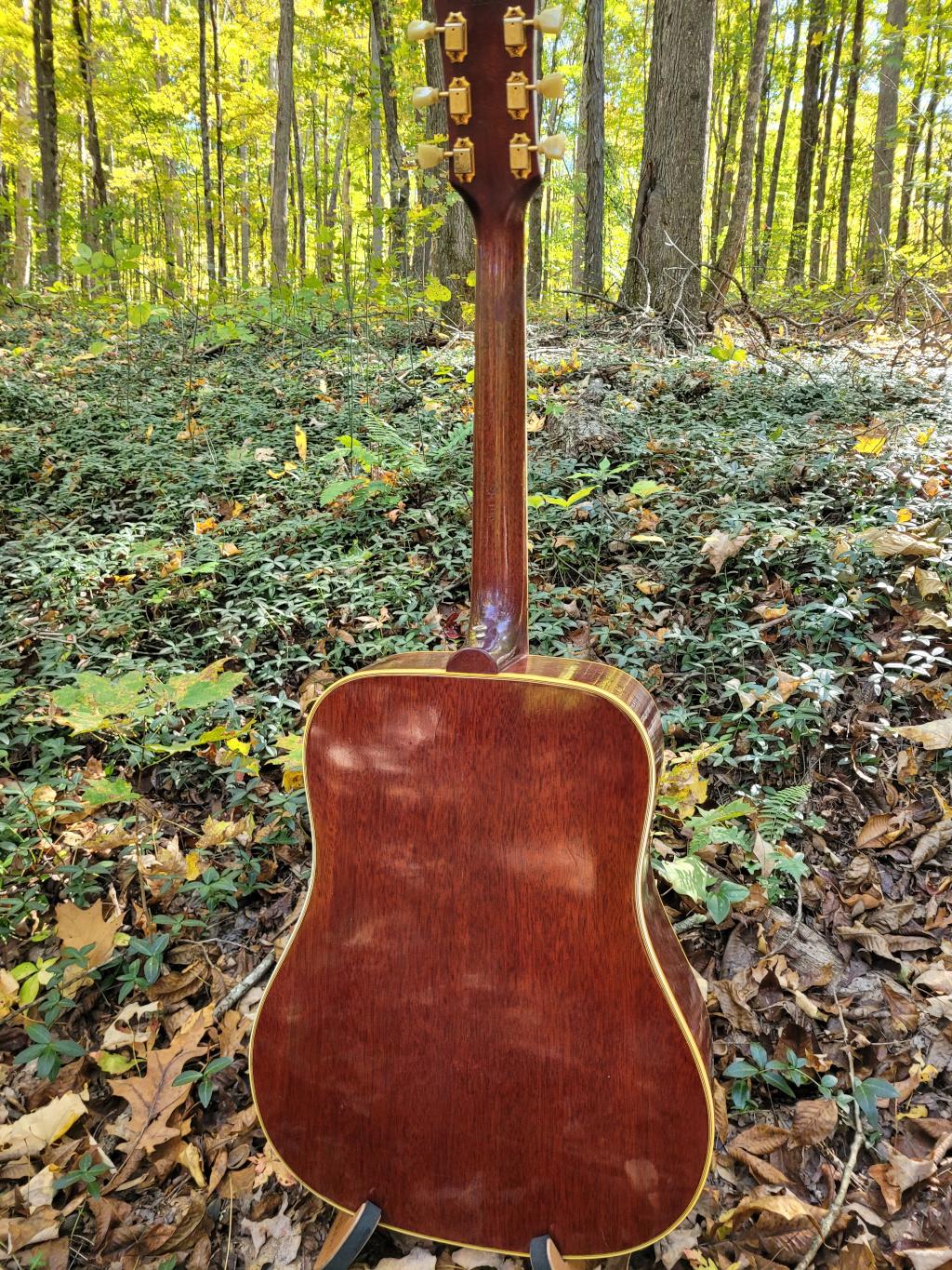 [1963 Gibson Hummingbird Rear]
