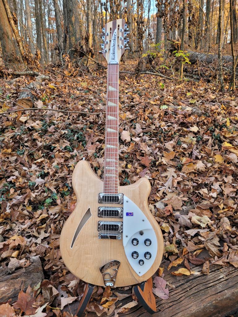 [2001 Rickenbacker 370/12]