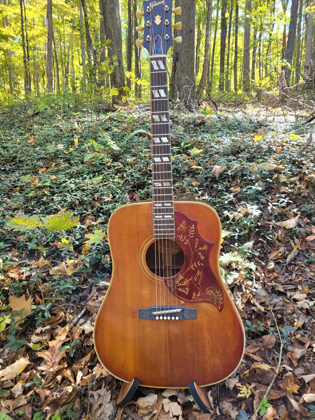 [1963 Gibson Hummingbird]
