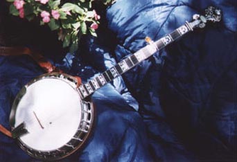 [Mahogany banjo]